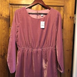 J.Crew Factory Velvet Dress ☀️NWT